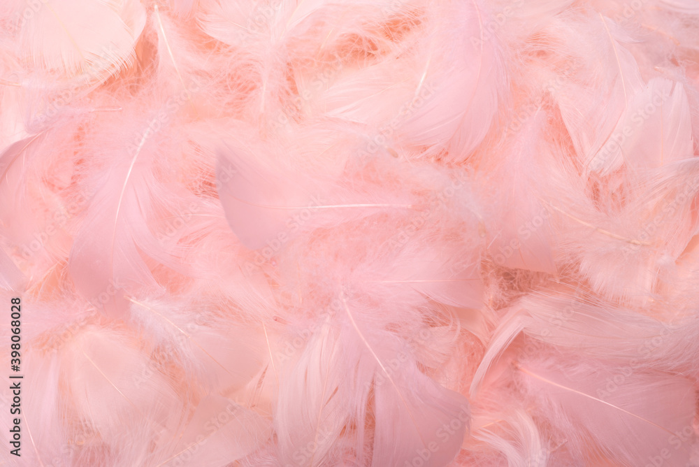 Colorful feather background, top view. Colorful feather background, top view.