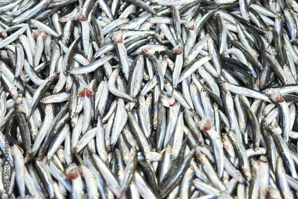 Pile of fresh small fishes at market. Small sea fishes close up. Sea food concept.