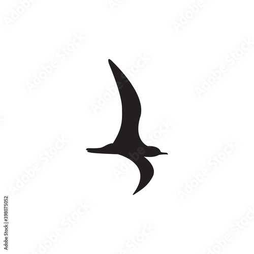Drawing of a flying seagull alone. Vector © Murat İrfan Yalçın