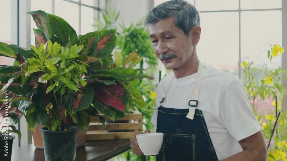 Holiday concept of 4k Resolution. A retired man is walking around to admire the trees in the garden. Holiday concept of 4k Resolution. A retired man is walking around to admire the trees in the garden.