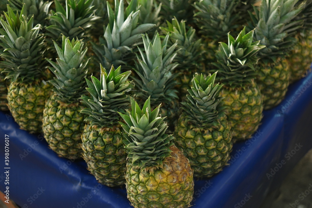 Pineapples on display at market stall. Tropical fruits background. Pineapples on display at market stall. Tropical fruits background.