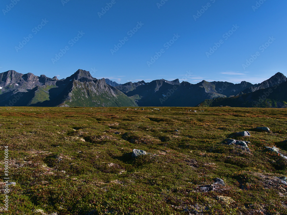 Beautiful rocky meadow of moss, bushes and grass with mountain range on background on hiking tour to Matmoa peak on Austvågøya island, Lofoten, Norway on sunny day in late summer with clear sky. Beautiful rocky meadow of moss, bushes and grass with mountain range on background on hiking tour to Matmoa peak on Austvågøya island, Lofoten, Norway on sunny day in late summer with clear sky.