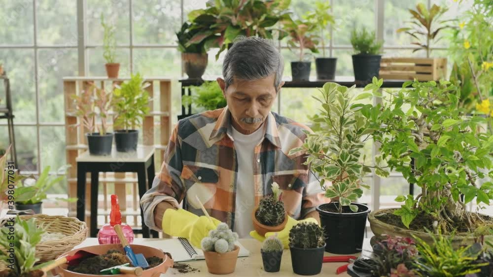 Agriculture concept of 4k Resolution. An Asian old man is recording the growth of the plant in a notebook. Agriculture concept of 4k Resolution. An Asian old man is recording the growth of the plant in a notebook.