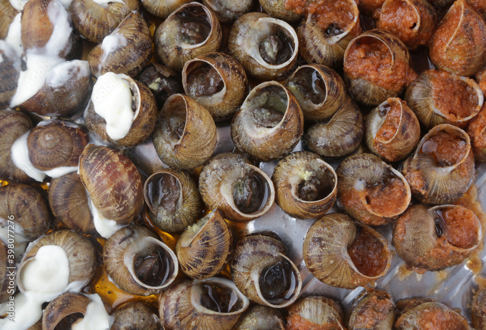cooked snails with tomato and alioli sauce cooked snails with tomato and alioli sauce