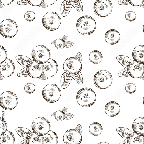 Black and white seamless pattern with cranberries in vintage style