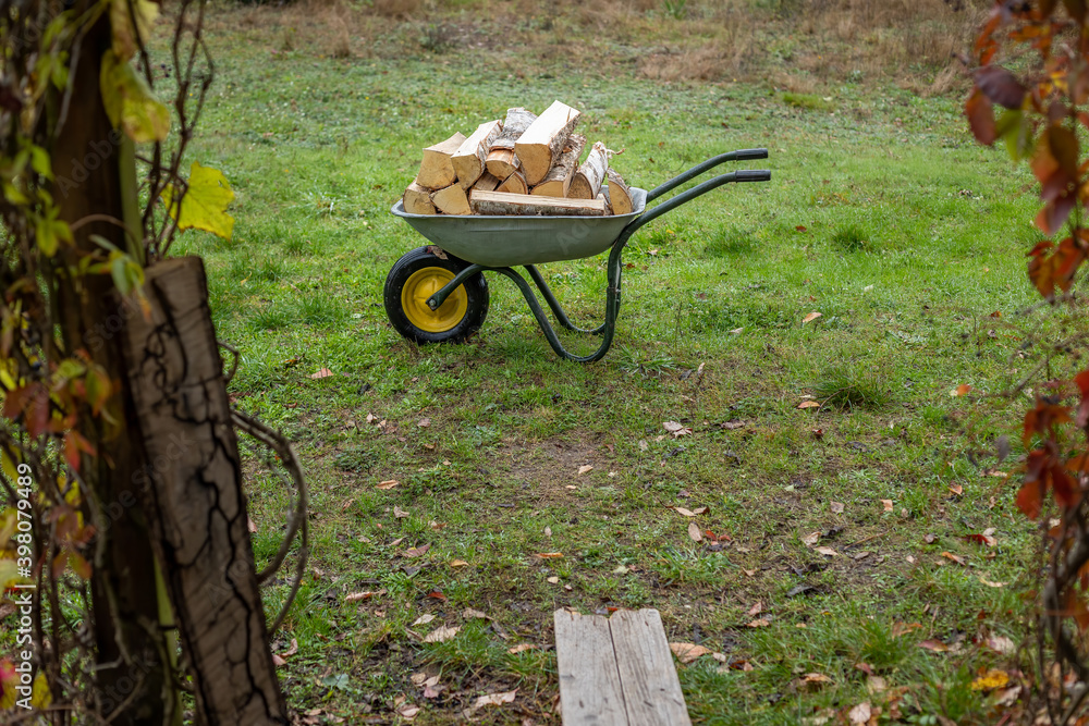 A wheelbarrow full of chopped wooden trunks.