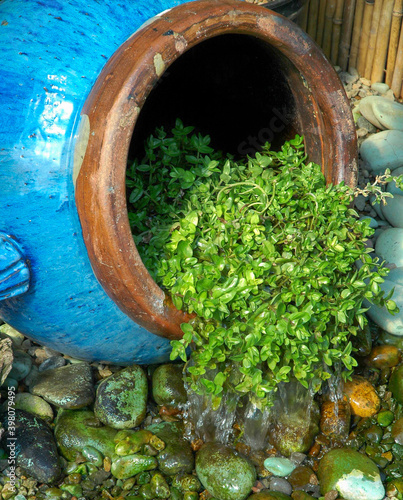 Water Feature in a Garden photo