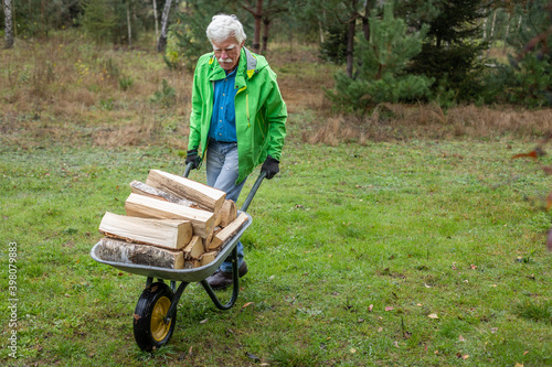 Senior man pushing a wheelbarrow full of the heavy pieces of firewood for his fireplace. © toranote