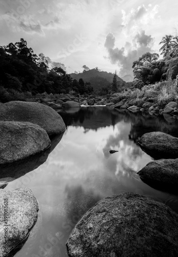 River stone and tree with sky and cloud colorful  Stone river and tree leaf in forest  Black and white and monochrome style