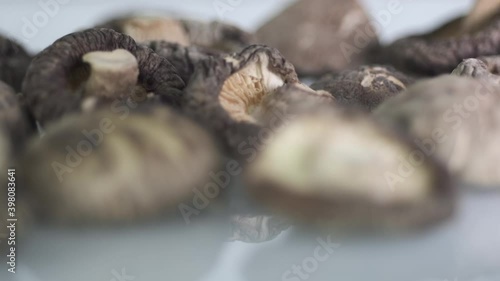 focus on shiitake mushrooms