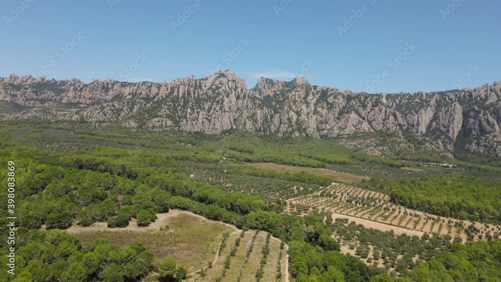 Aerial views of olive fields in Catalonia Aerial views of olive fields in Catalonia