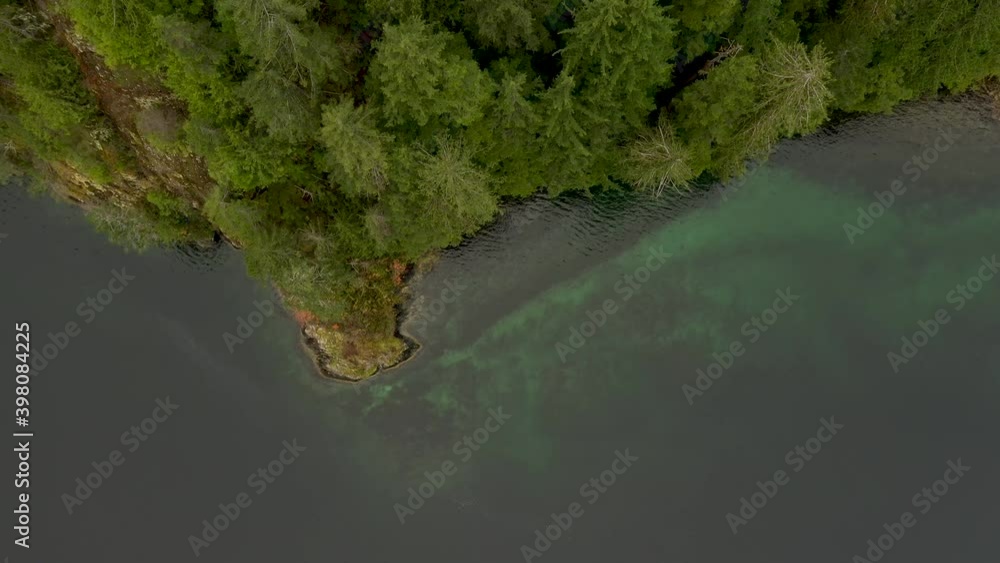 Birds eye view flying over the trees and ocean. Slow movement of aerial footage. Shot with DJI Mavic 2 Pro. Birds eye view flying over the trees and ocean. Slow movement of aerial footage. Shot with DJI Mavic 2 Pro.