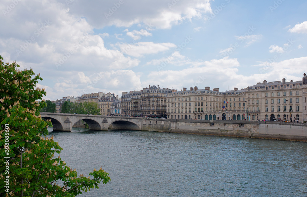 Fototapeta premium In Paris chestnuts are blooming. View of the Anatol França quay