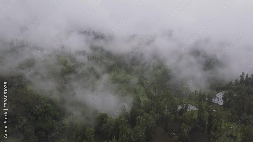 beautiful view from the drone visible trees filled with beautiful fog beautiful view from the drone visible trees filled with beautiful fog