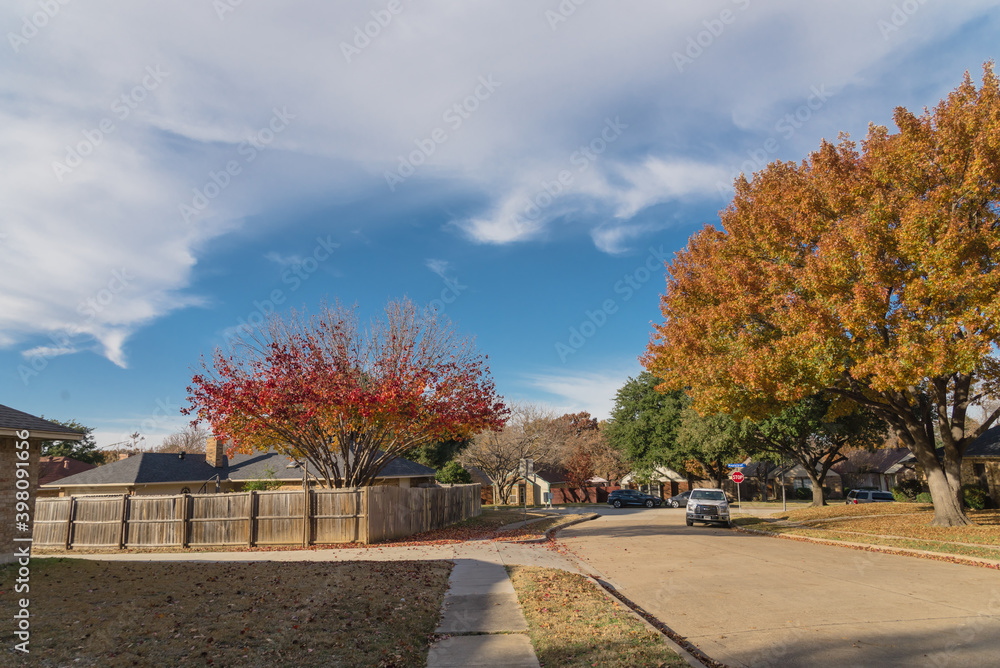 Empty sidewalk and quite neighborhood street with row of suburban house and colorful fall foliage in Texas, USA