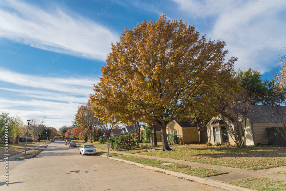 Empty sidewalk and quite neighborhood street with row of suburban house and colorful fall foliage in Texas, USA