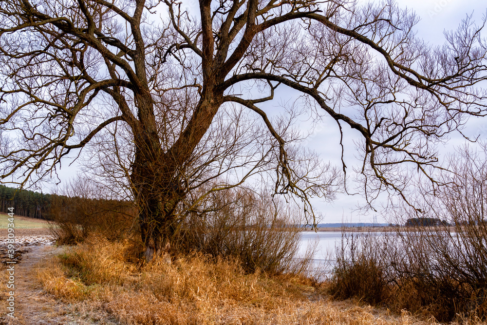 Początek zimy w Dolinie Narwi, Podlasie, Polska Początek zimy w Dolinie Narwi, Podlasie, Polska