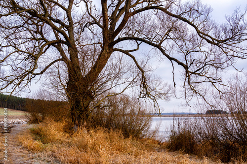 Fototapeta Naklejka Na Ścianę i Meble -  Początek zimy w Dolinie Narwi, Podlasie, Polska