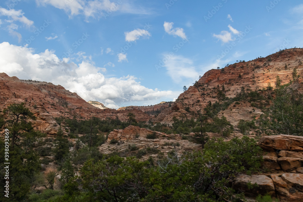 Obraz premium Rock formations at Zion National Park, Utah, USA
