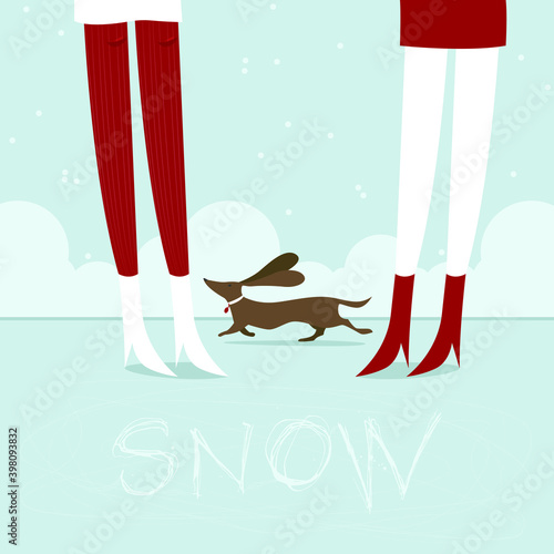 Lady with a dog. Walking a pet. Pet. Winter.Snow.Street. Vector illustration.Girlfriends.Legs.Owner girl or sitter in a sterile.Street.New year, holiday, Christmas.Ice