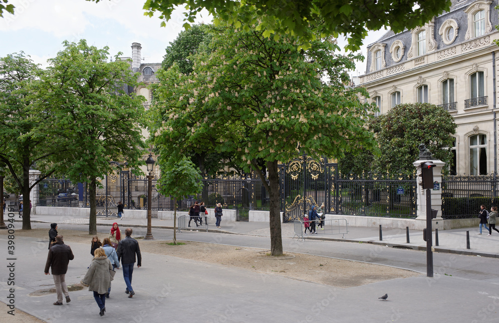 Naklejka premium Champs Elysees. Pedestrians are walking along the street