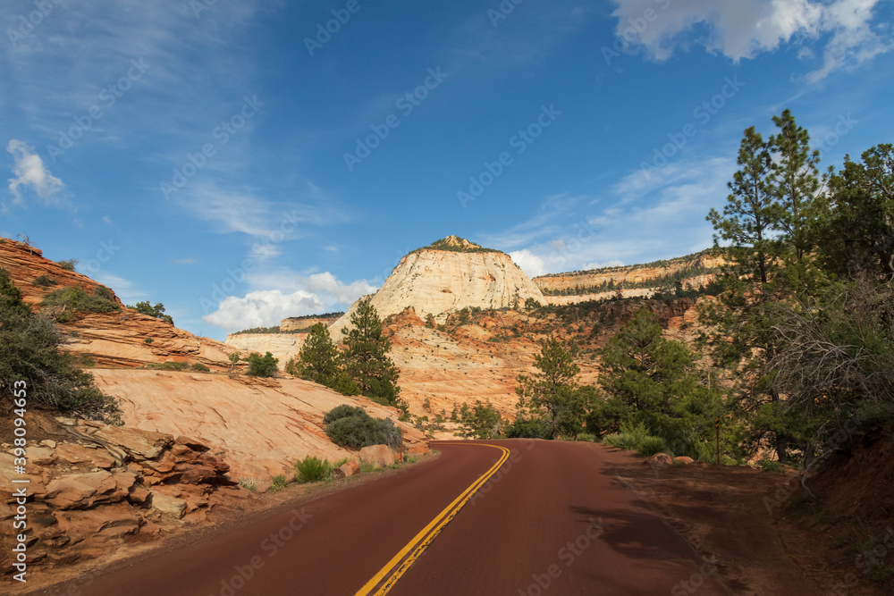 Road through Zion National Park Road through Zion National Park