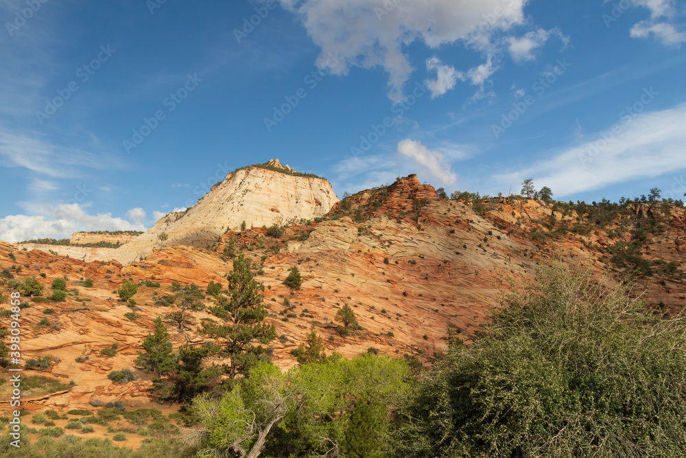 Rock formations at Zion National Park, Utah, USA