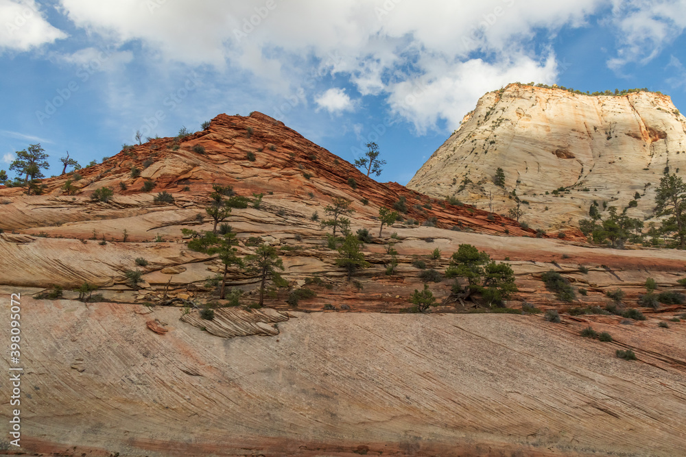 Fototapeta premium Rock formations at Zion National Park, Utah, USA