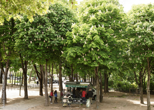 Chestnuts are blossoming at the intersection of the Champs Elysees and Selv Avenue. Citizens shop in an auto shop
