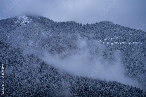 Italy, Trentino, Vervò - 7 December 2020 - Foggy snowy winter landscape © Stefano