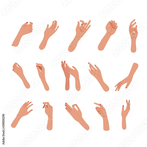 Set of Hand gestures in different positions. Elegant Female nahds palms. Vector hands showing and pointing, holding and representing. Flat vector illustration.