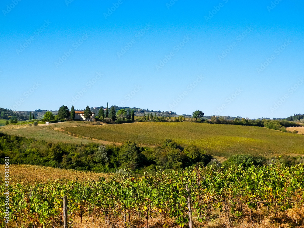 Obraz premium Landscape of the Tuscan vineyards, Italy