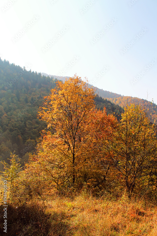 autumn in the mountains autumn in the mountains