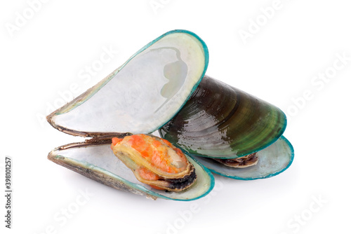 mussels isolated on white background. with clipping path.