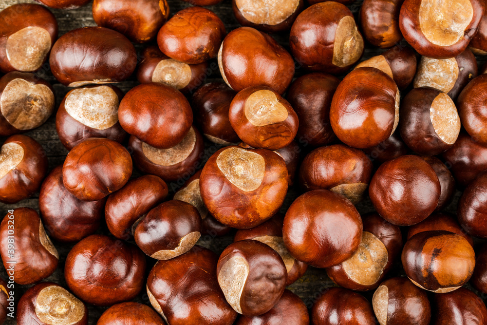Lots of ripe chestnuts to eat. Background image Lots of ripe chestnuts to eat. Background image