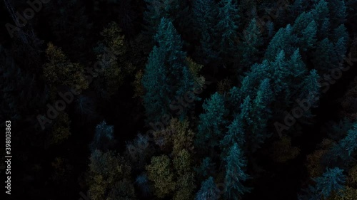 Aerial view of trees at night in a Oregon forest