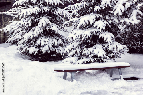 bench is covered by snow among spruces