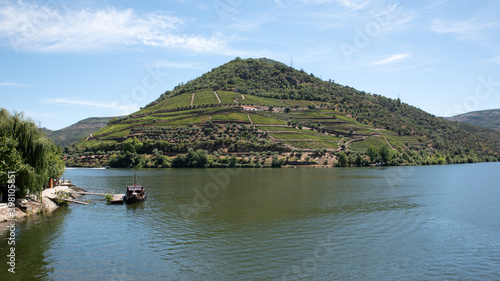 Vineyard mountain on the Douro River with an antique boat