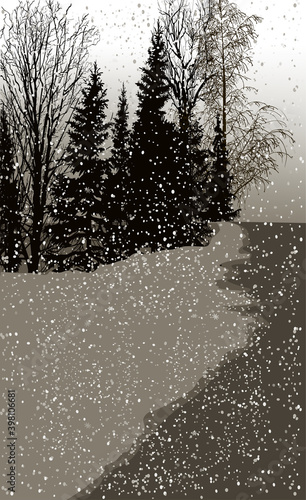dark brown fosest under white snow
