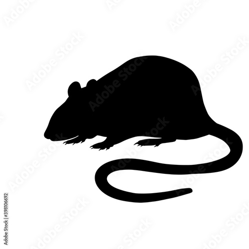 Icon of rat silhouette. Black vector illustration of rodent