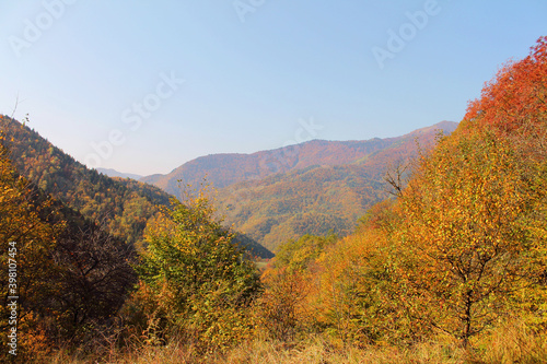 autumn landscape in mountains