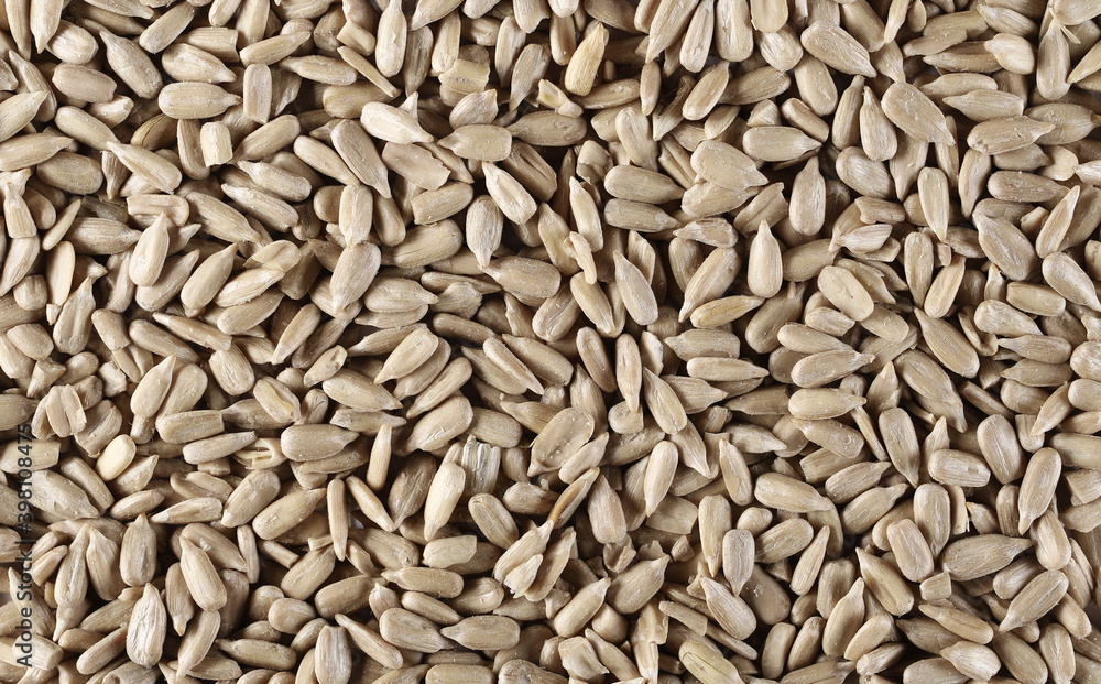 Peeled sunflower seeds background and texture, top view Peeled sunflower seeds background and texture, top view