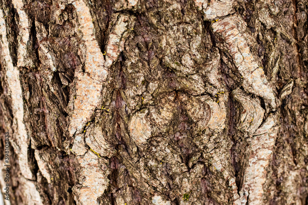wooden wall, concept background, brown color