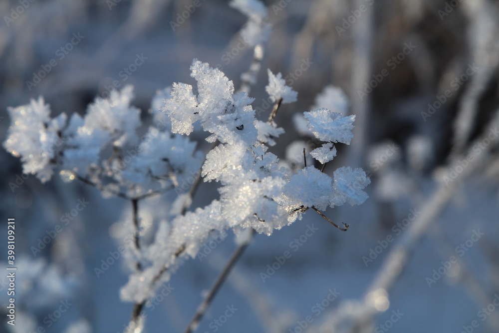 frost decorates the grass with ice crystals that look like precious stones