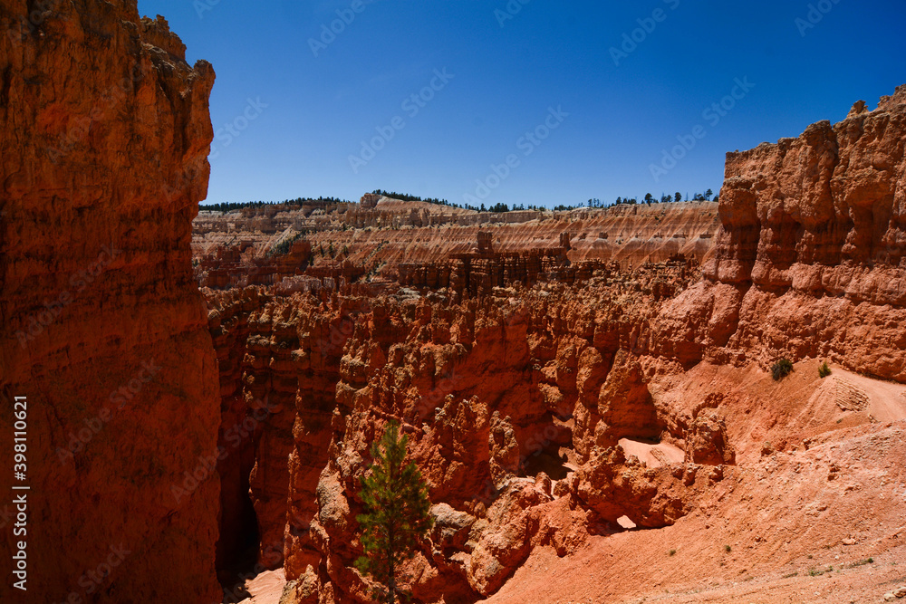 Bryce Canyon - landscape