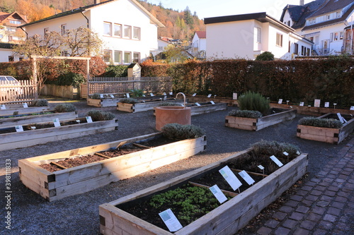 Blick auf den Klostergarten des ehemaligen Zisterzienserklosters Herrenalb im Schwarzwald photo