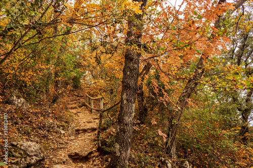 Fuente Roja natural park in Alcoi on a foggy autumnal day. photo