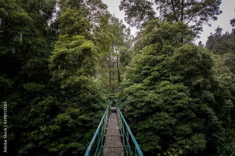 Fototapeta premium Bride in the jungle forest of the azore islands