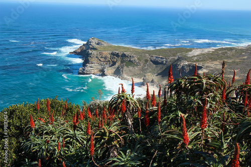 view from Cape of Good Hope, South Africa near Cape Town