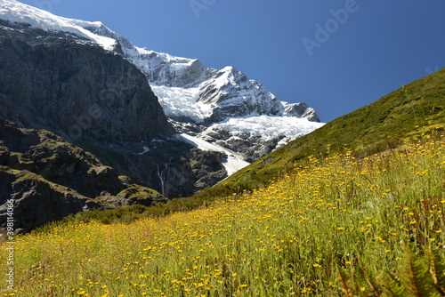 Rob Roy glacier trail near Wanaka New Zealand